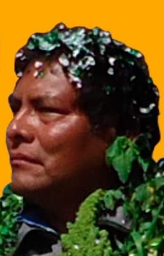 Imagen del artículo