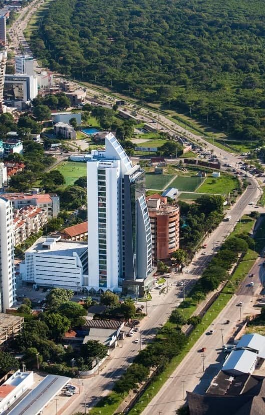 Imagen del artículo