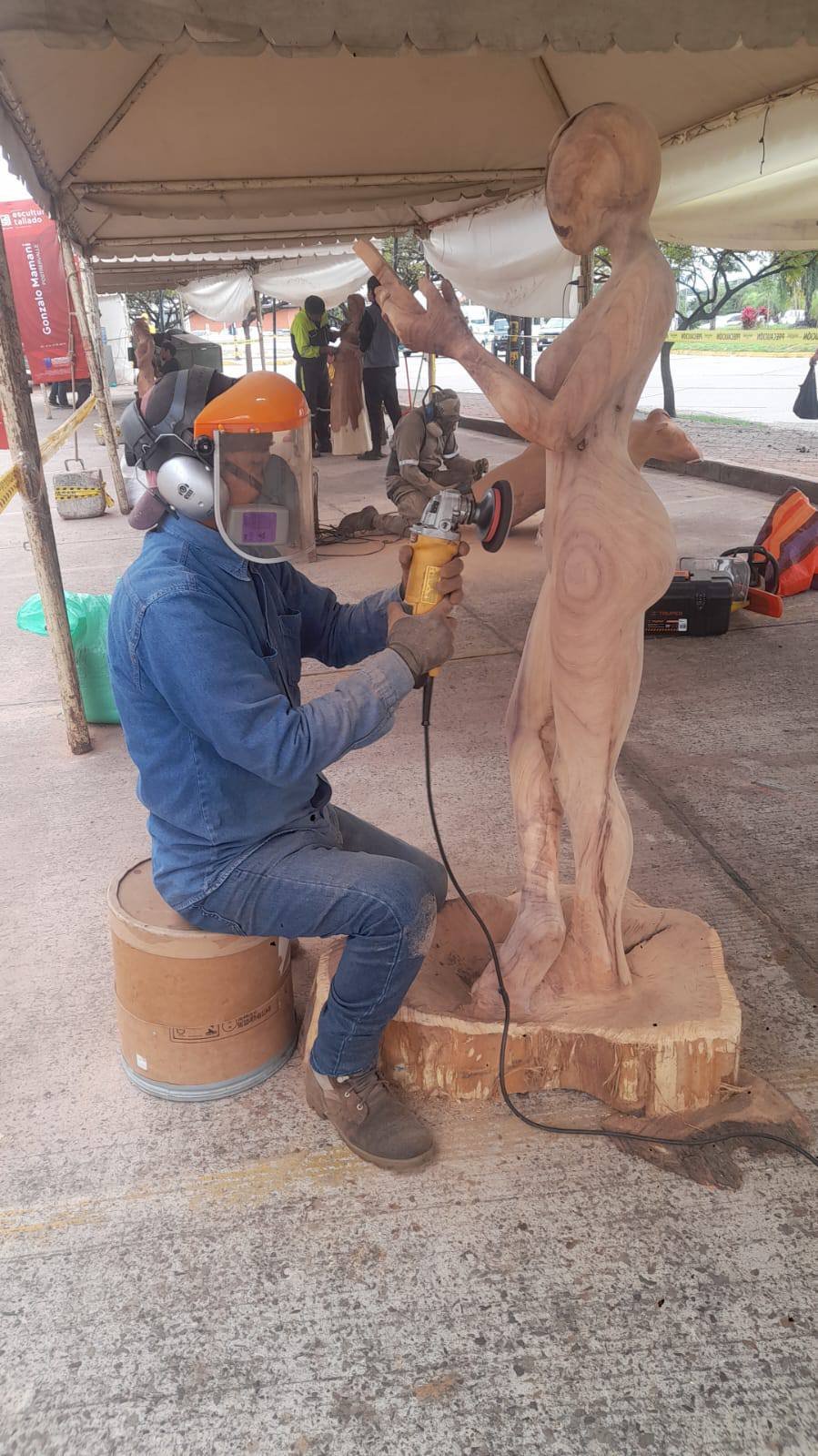 Imagen del artículo