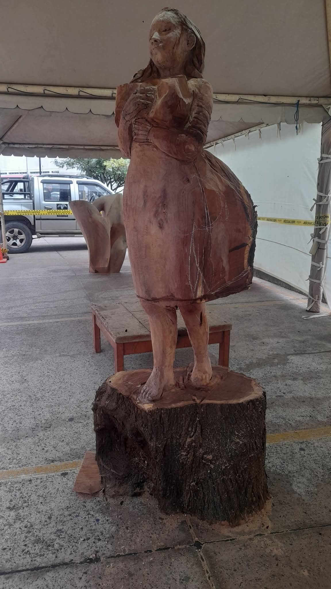 Imagen del artículo