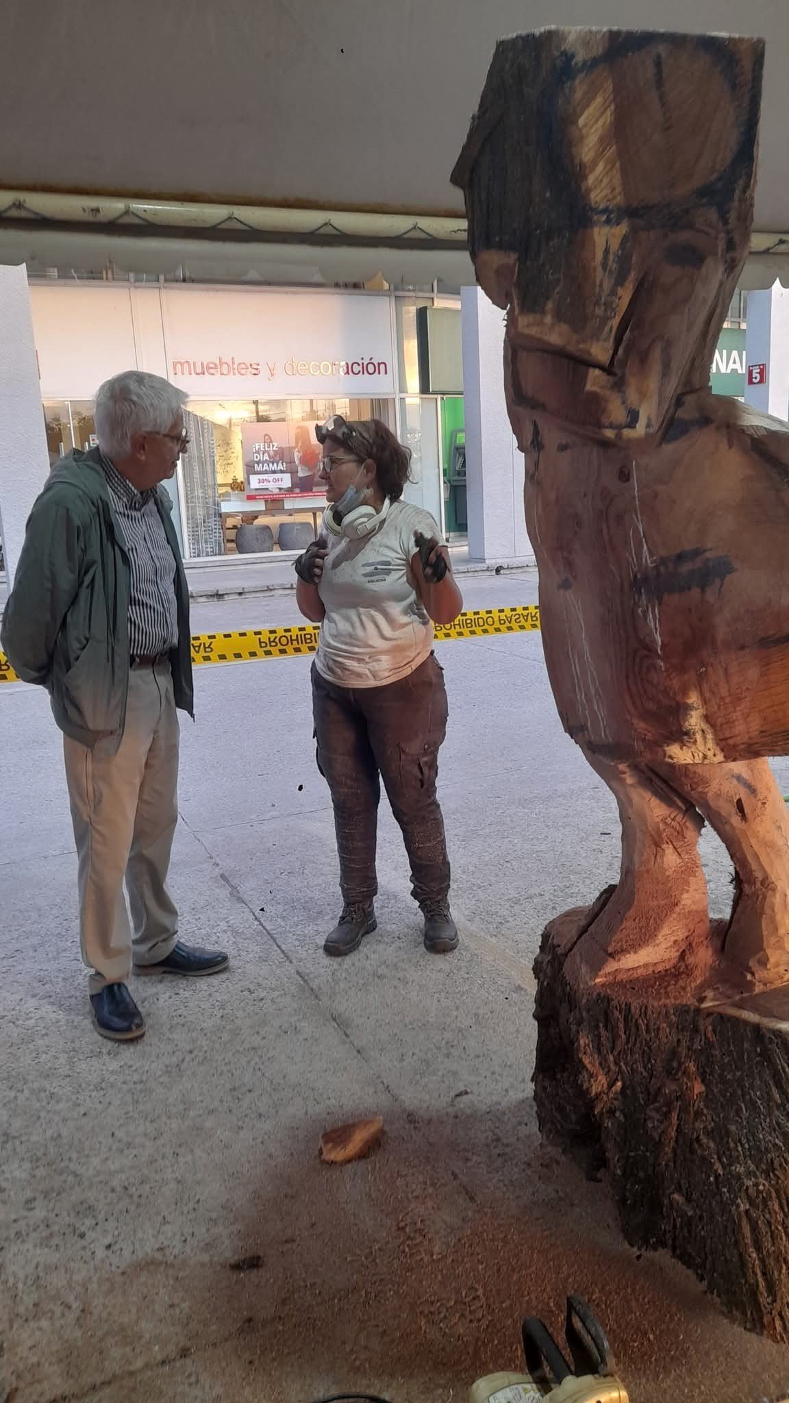 Imagen del artículo