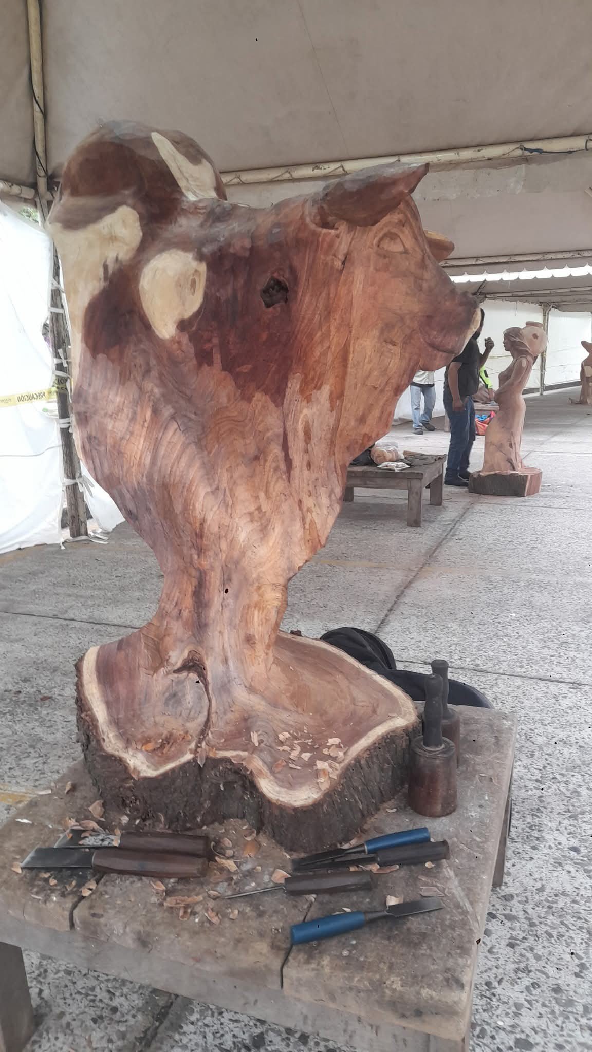 Imagen del artículo
