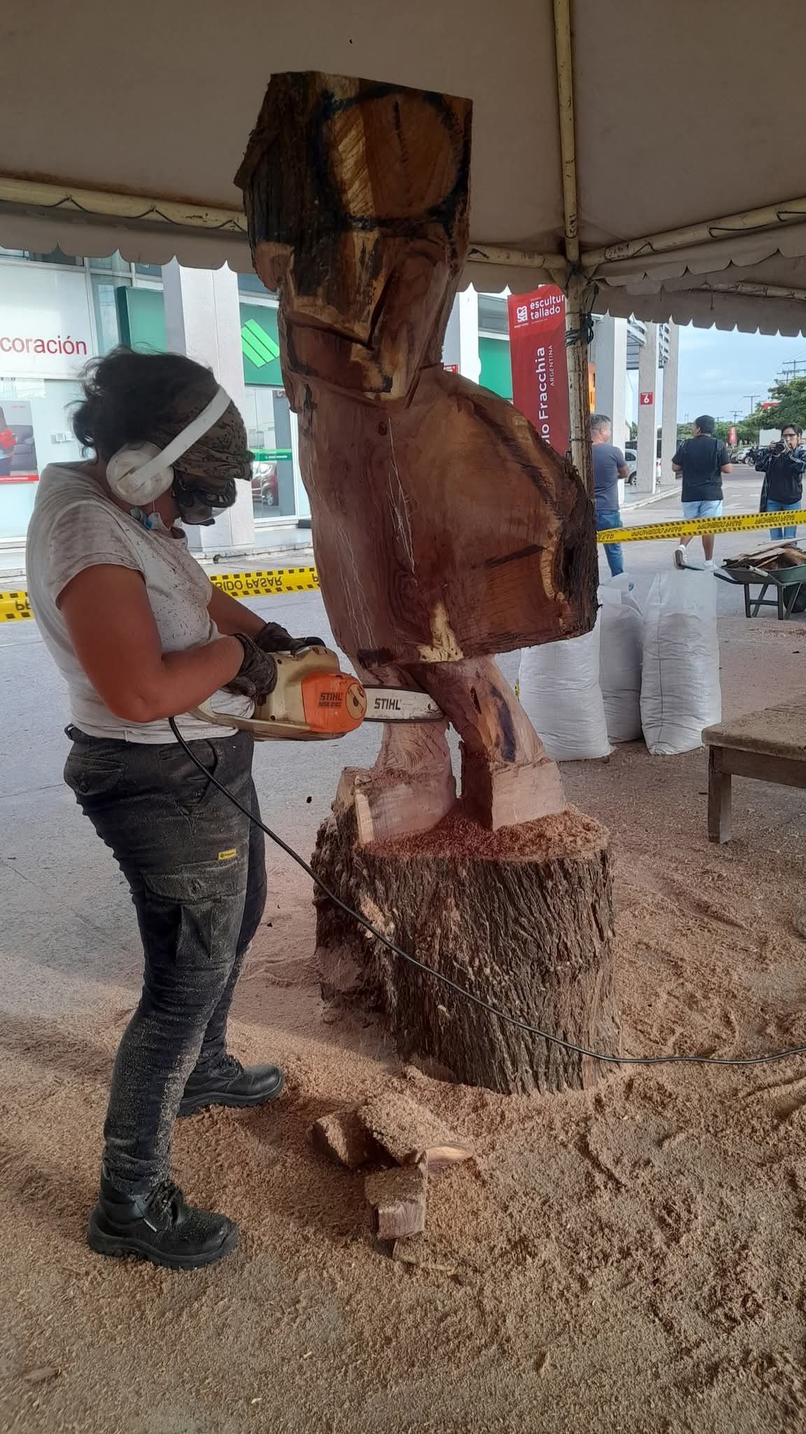 Imagen del artículo