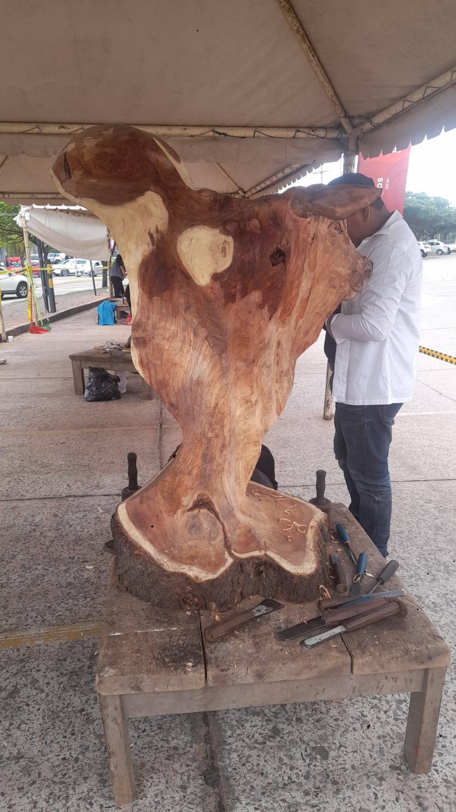 Imagen del artículo