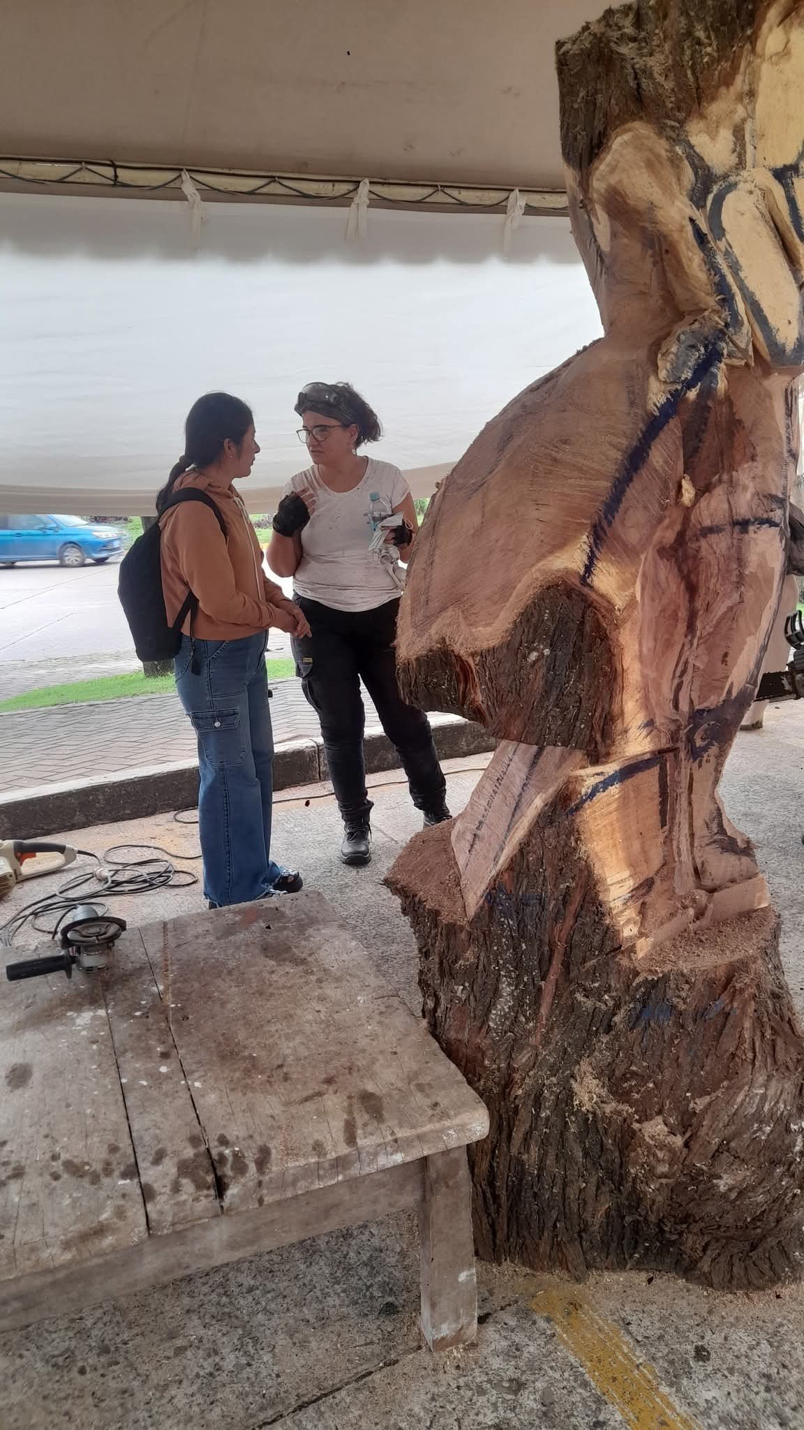 Imagen del artículo