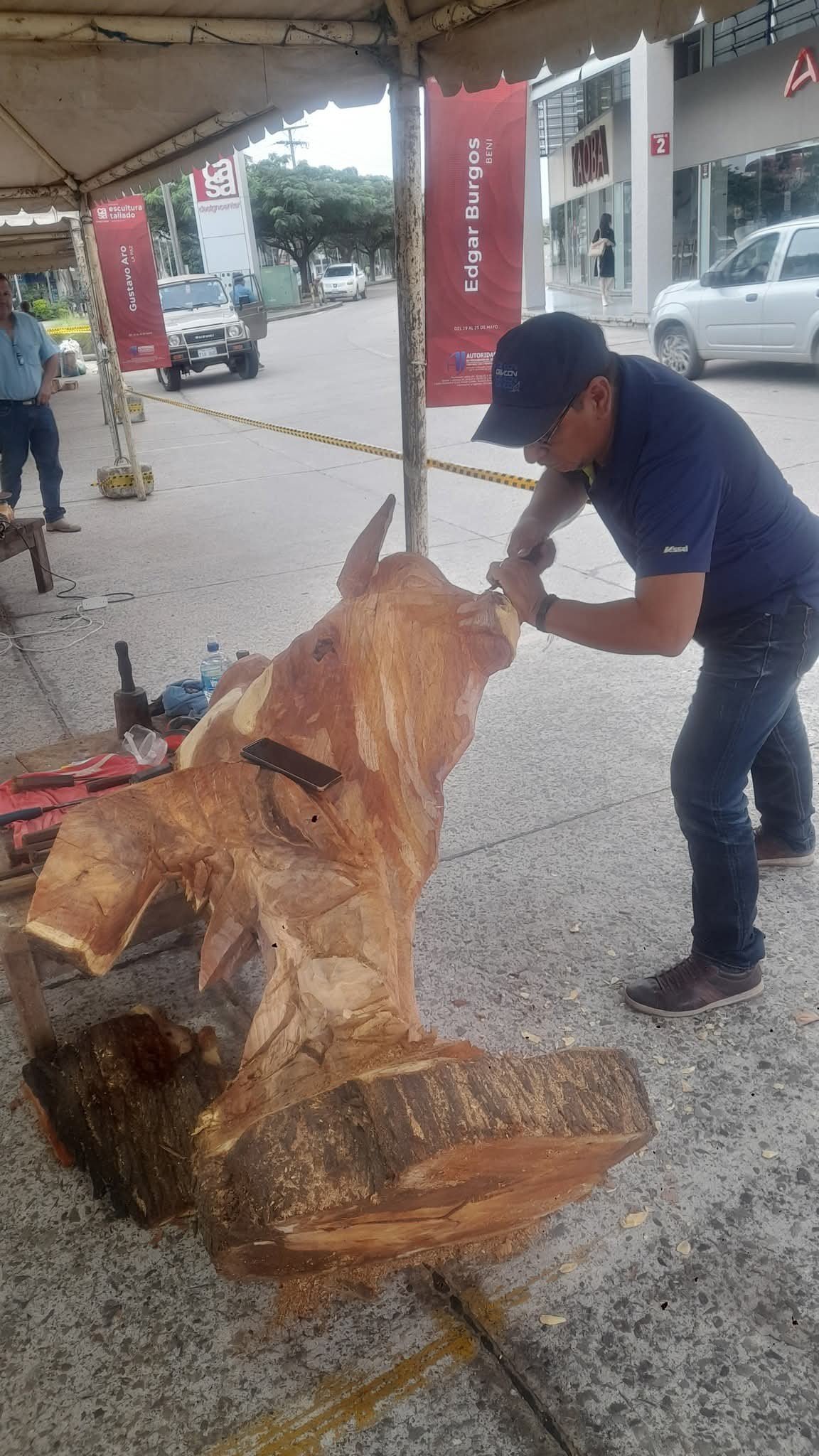 Imagen del artículo