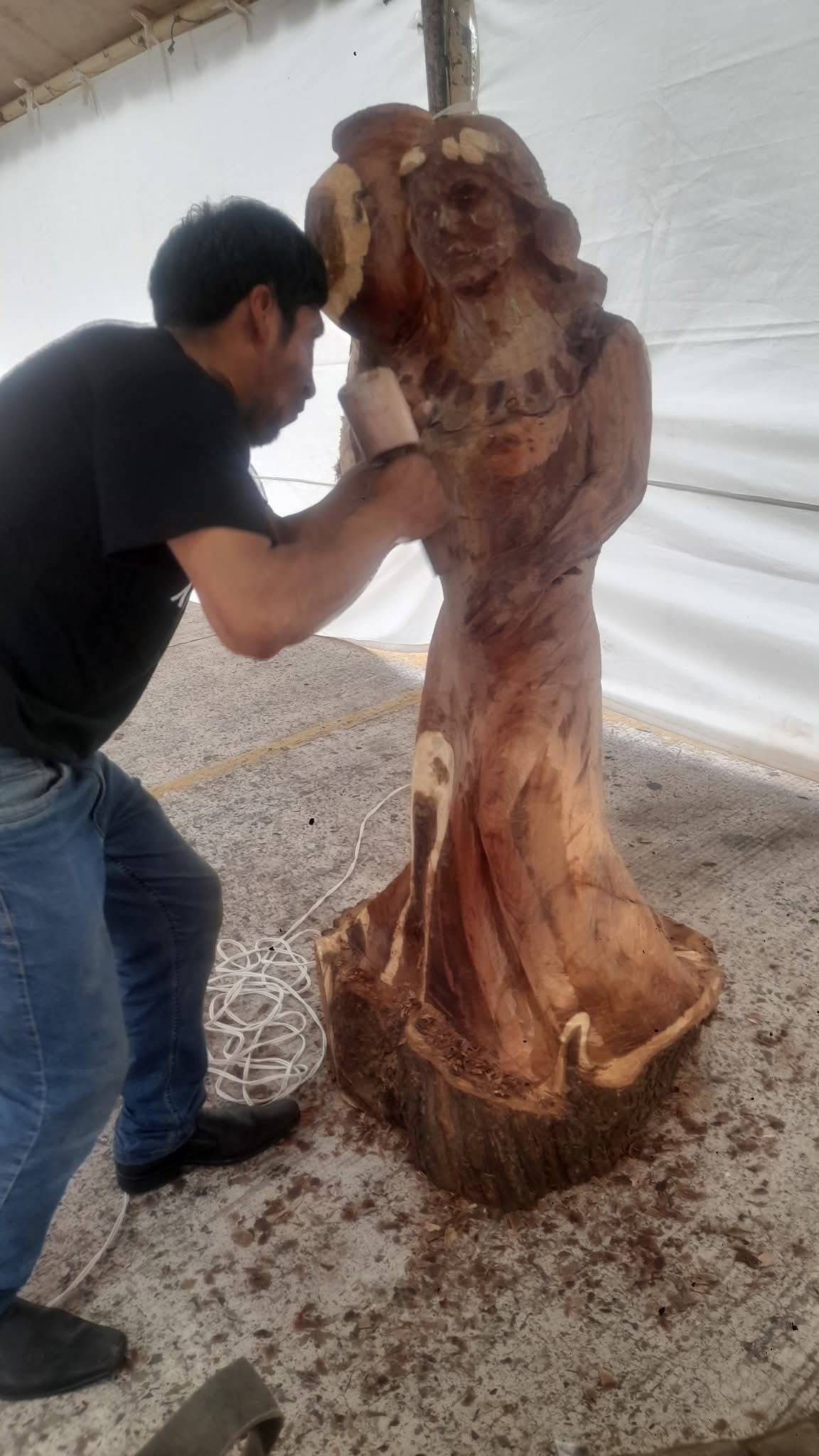 Imagen del artículo